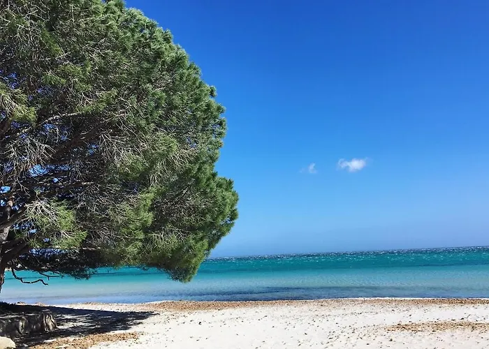 Proche Des Belles Plages דירה